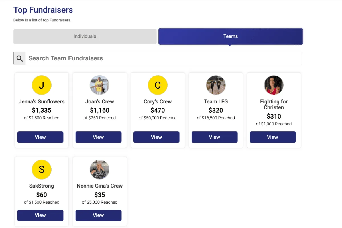 Example of the Difference between groups/teams and fundraising teams